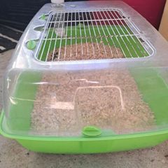pet cage