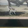 John Skelton print Atlantic Coast signed Image 2