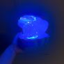Light Up Shell Image 3