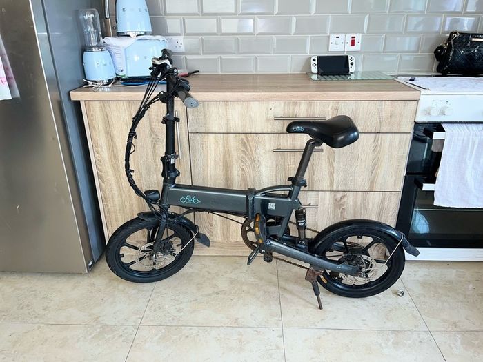 Fiido Folding Electric Bike