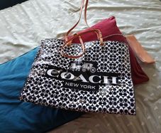 Coach shoulder handbag