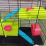 Hamster starter kit Image 4
