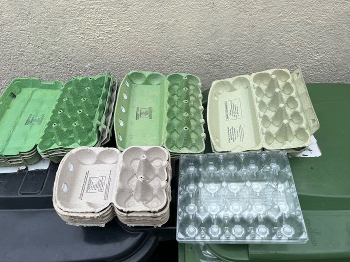 egg cartons