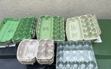egg cartons