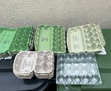 egg cartons