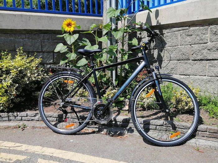Tabou Kinetic Gents Trekking Bike (Ex Hire Bike)