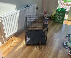 dog crate