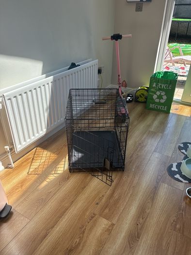 dog crate