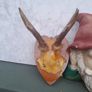 vintage hunting trophy Image 7