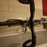 Specialized Roubaix Image 3