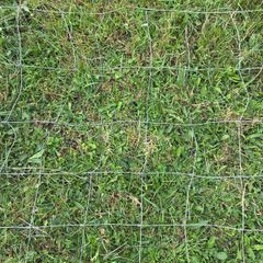 12ft sheep wire