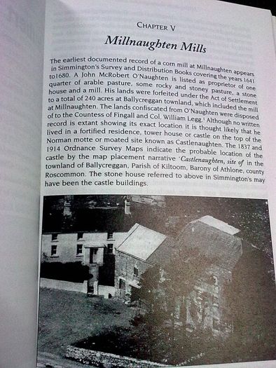 Milling on the Crannagh Cross River Roscommon Ireland Irish Local history