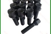 16 x Extended Bolts BMW (50mm) New Models 1,3,5,6,7 Series, Mini, F10, F11 (PB16) Delivery