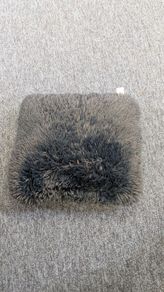 Cushion