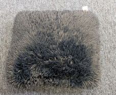 Cushion