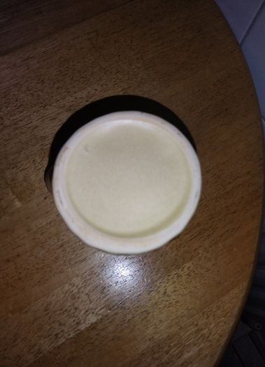 Old Milk Jug