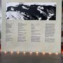 Screaming Trees - Uncle Anesthesia (First Press) Image 6