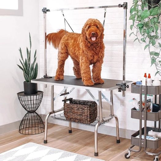 42" Dog Grooming Table, Adjustable Pet Cat Drying Beauty Table with 2 Loops Storage Basket, Rubber Top, Black