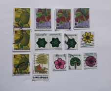 STAMPS - Lot - Singapore - Crafting or Collecting