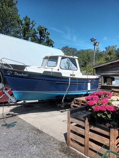 SEA Boat with trailer