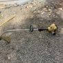26cc pro cut 2 stroke strimmer Image 2