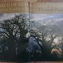 In Search of  Remarkable Trees - Thomas Pakenham Image 7