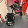 Free Bugaboo to good home Image 2