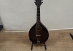 10 String Mandolin
