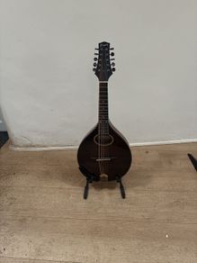 10 String Mandolin