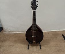 10 String Mandolin