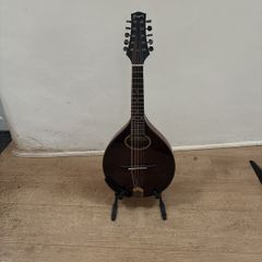 10 String Mandolin