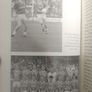 Graham Geraghty biography Image 7