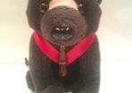 Coca Cola Bear Coke 1999 International Bear