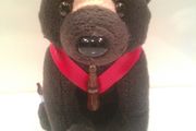 Coca Cola Bear Coke 1999 International Bear