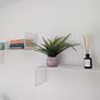 Shelves Image 2