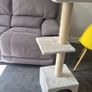 cat tree Image 2