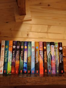 Wings of Fire Book Series