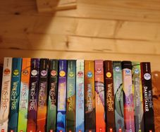 Wings of Fire Book Series