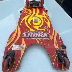 spinner shark,