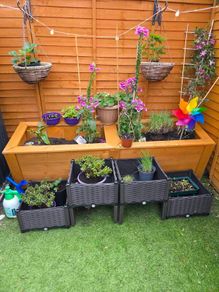Dark brown plastic raised beds / planters 2 for 40 OR 4 for 70