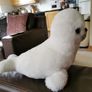 White seal microwave heating warmer Image 2