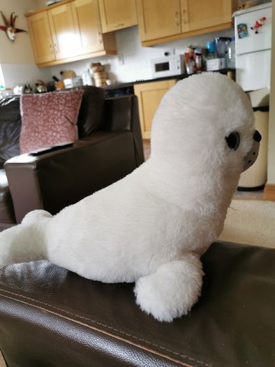 White seal microwave heating warmer