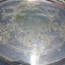 Vintage Silver and Gold Plate Serving Tray EPNS. 12" diameter Image 3