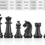 Set Board Games Sets Magnetic Folding Portable Garden Travel Gifts Traditional Strategy Game for Kids and Adults,Black-White Image 5
