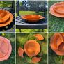 ceramic mid century serving dish set Image 8