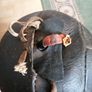 1930's Original 12panel Leather football Image 5