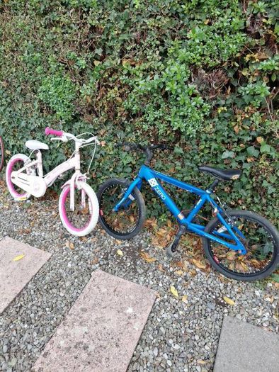 Two kids bikes