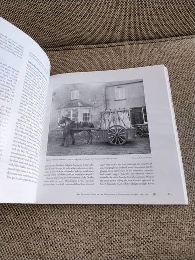 The Irish Draught Horse by Mary McGrath and Joan C Griffith 2005 in very good condition with some signs of wear on the cover see photos FREE STANDARD POSTAGE INCLUDED
