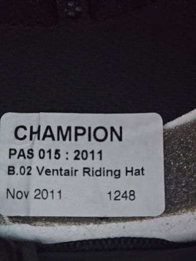 Champion horse riding helmet
