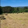 Hay Image 2